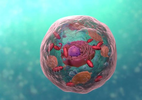 Understanding Cell Biology for OCR A-Levels